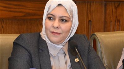 برلمانية: قرار البترول تقسيط توصيل الغاز للمنازل يأتي في توقيت مناسب لتخفيف الأعباء على المواطنين