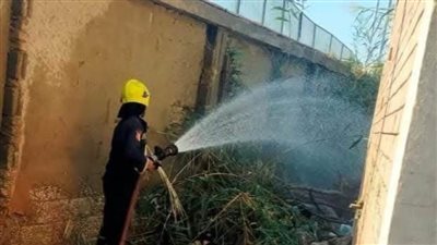 السيطرة على حريق بكشك أمن بكلية العلوم ببورسعيد 