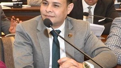 برلماني: قرار الجنائية الدولية لطمة على وجه نتنياهو وانتصار للقضية الفلسطينية