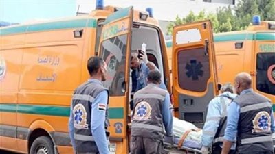 مصرع شاب وطفلة في حادثتين شهدتهما أسوان اليوم