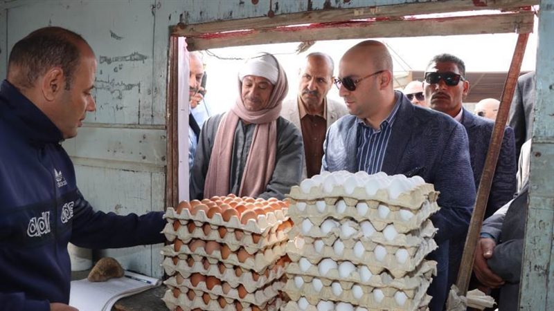 منافذ بيع البيض ببنى