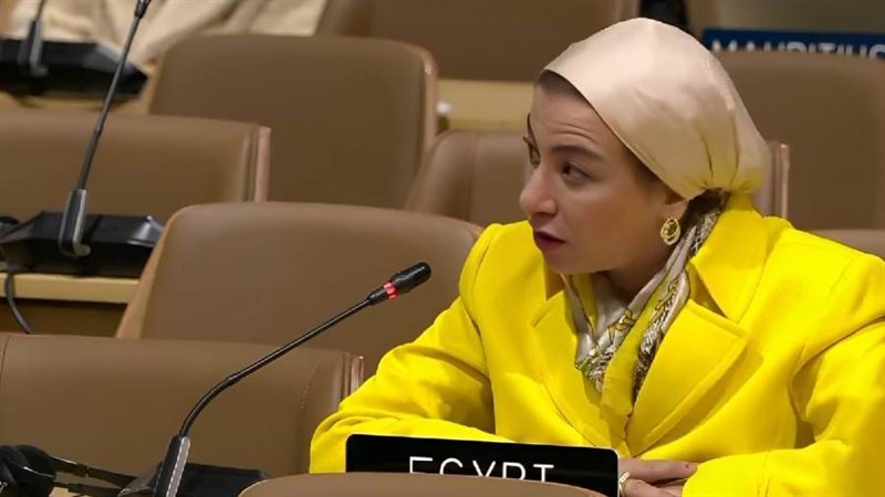 الدكتورة ياسمين فؤاد