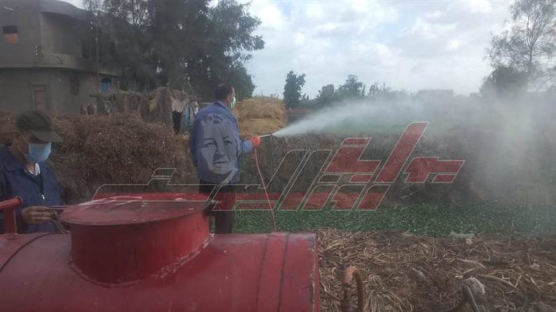 جانب من عمليات الرش