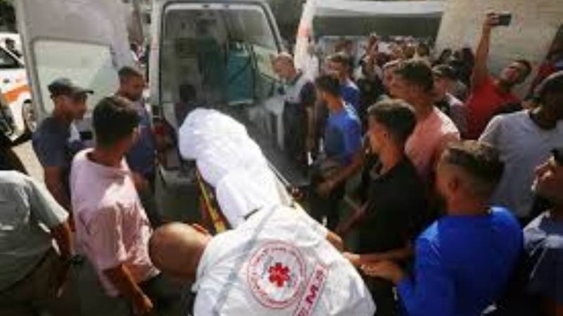 بوابة روز اليوسف