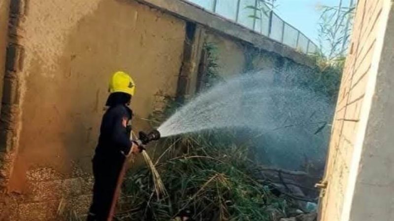 حريق كلية العلوم