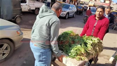 إزالة الإشغالات بالحامول في كفر الشيخ