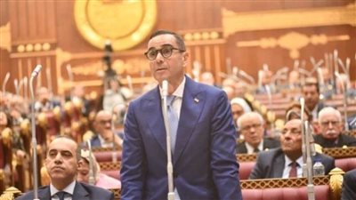 وزير الاستثمار أمام 