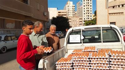 توافد المواطنين على شراء بيض المائدة بالبحيرة.. صور 