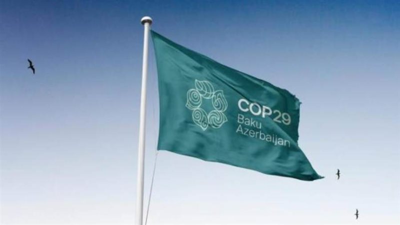 قمة COP29