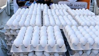 مديرية تموين البحر الأحمر تعلن توزيع 300 طبق بيض بفروع الشركة المصرية 