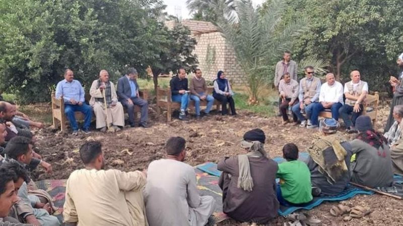 جانب من الفاعليات