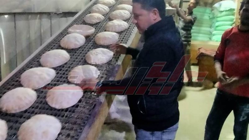 الحملات الرقابية