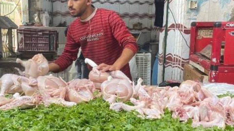 ضبط دواجن مخالفة