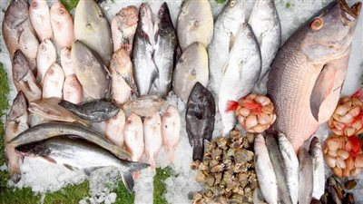 الجمبري بـ600 جنيه والثعابين بـ500.. أسعار الأسماك في سوق العبور