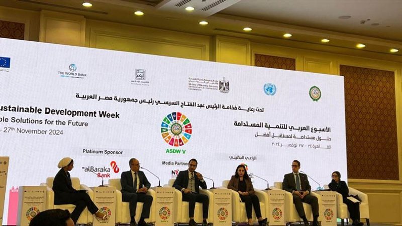 الزميلة أميرة عبدالفتاح