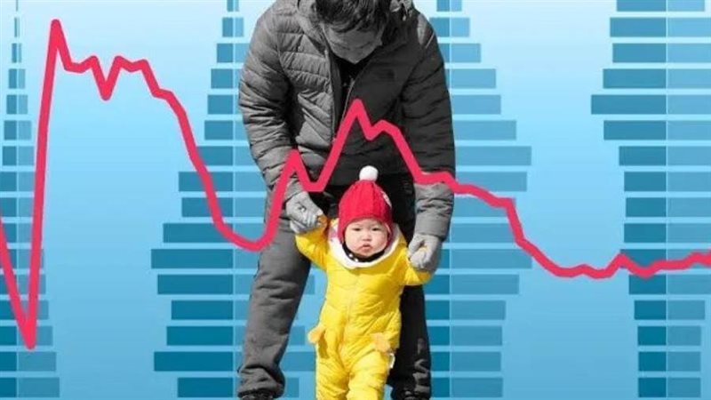 تراجع معدلات المواليد