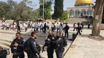  القدس: 80 شهيدا و280 مصابا برصاص الاحتلال على مستوى المحافظة منذ أكتوبر 2023