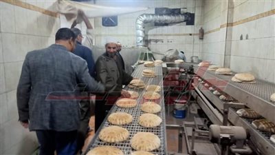 التموين يحرر 20 محضرًا للمخالفات بكفر الشيخ