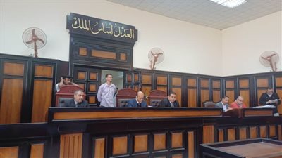 السجن المشدد 10 سنوات لـ