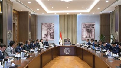 رئيس الوزراء يلتقي نائب رئيس شركة 