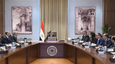 رئيس الوزراء يلتقي الرئيس التنفيذي لشركة 