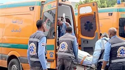 انتحار المتهم بذبح زوجته وطفليه واشعال النيران في والدته وشقيقه اسفل قطار بطوخ