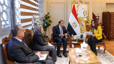 وزيرة التنمية المحلية تتابع مع نائب برنامج الأمم المتحدة الإنمائي مجالات التعاون المشترك