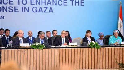 وزير الخارجية يؤكد ضرورة مضاعفة الاستجابة الدولية لاحتياجات الفلسطينيين في غزة