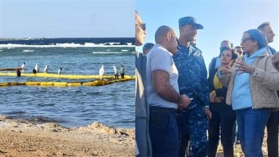وزيرة البيئة: غرق سفينة الشحن بمنطقة القصير وتأهب احتواء الموقف