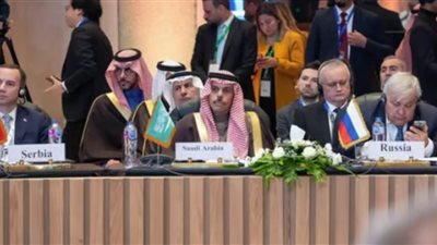 بن فرحان: ما يتعرض له قطاع غزة من إبادة وحشية يعد أكبر اختبار للنظام الدولي