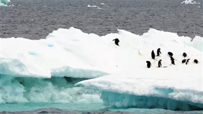 بدء تشغيل أول محطة صينية لمراقبة الغلاف الجوي في القارة القطبية الجنوبية