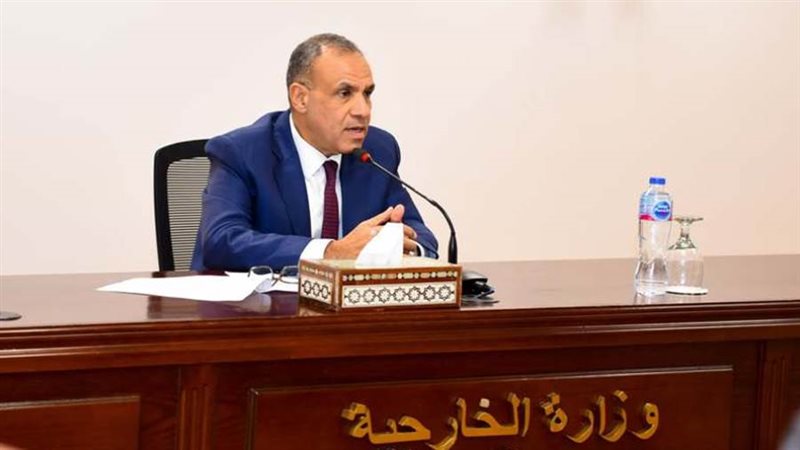 بدر عبد العاطي وزير