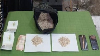 إحباط محاولة جلب وتهريب كميات كبيرة من عقار الكبتاجون المخدر لخارج البلاد 