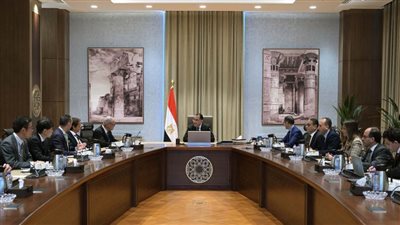 رئيس الوزراء يلتقي مُمثل 