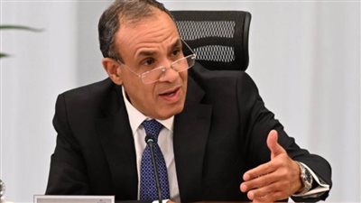 وزير الخارجية: مصر لن تدخر جهدا في دعم السودان خلال محنته الحالية