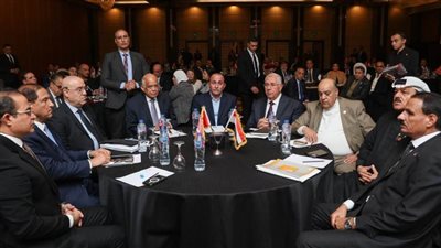 اتحاد القبائل والعائلات المصرية درع حصين في مواجهة التحديات