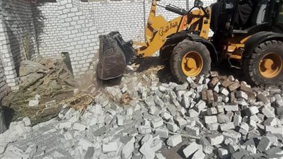 محافظ الأقصر: إزالة 248 حالة تعد على أراضي أملاك الدولة واسترداد 225 قطعة أرض بالمرحلة الثانية للموجة الـ24