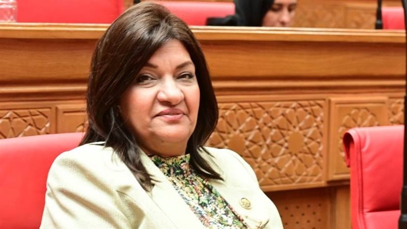 النائبة ايفلين متى