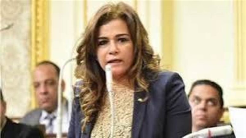 النائبة سحر طلعت