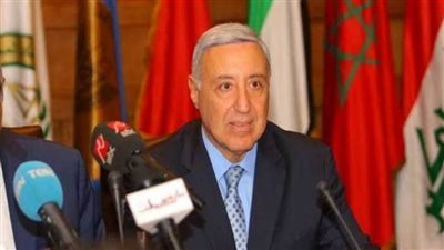 الدستورية: التمييز في توريد الكهرباء للمستهلكين في مقدار الضريبة المفروضة عليهم يخالف الدستور