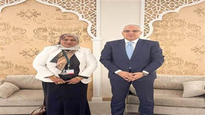 وزير الري: السد الإثيوبي بدأ إنشاؤه دون أي تشاور أو دراسات كافية تتعلق بالسلامة