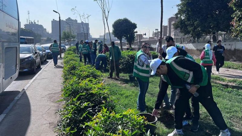 مبادرة الجذور الخضراء