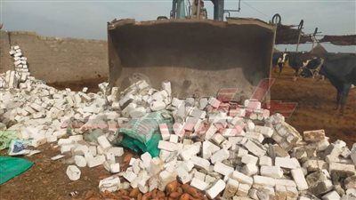 انطلاق المرحلة الثالثة من الموجة الـ24 لإزالة التعديات على الأراضي الزراعية