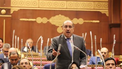 برلمانية الشعب الجمهوري: لا يجب المساواة في التقنين بين الأراضي على