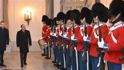 بالفيديو.. الرئاسة تلقي الضوء على زيارة الرئيس السيسي للدنمارك