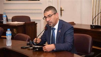 نائب بالشيوخ: الفترة الراهنة تتطلب وعي الشعوب لمواجهة مخططات تهدد استقرار المنطقة