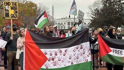 تظاهرات في مدن وعواصم عالمية تنديدا بالعدوان على قطاع غزة