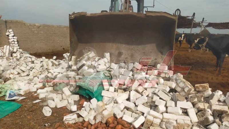 ازالة التعديات