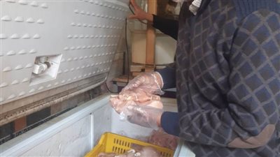 بالصور.. محافظ الغربية: ضبط 553 كيلو أسماك ودواجن ولحوم فاسدة بالأسواق