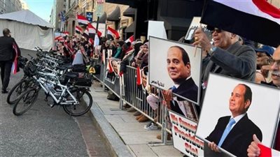 الجالية المصرية بالنرويج تتجمَّع أمام مقر إقامة الرئيس السيسي